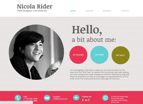 1-550x400-1 portfolio-2