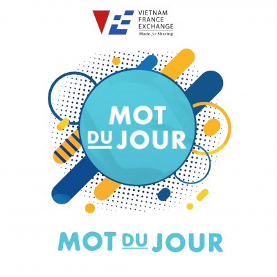 VFE ứng dụng học tiếng Pháp 4