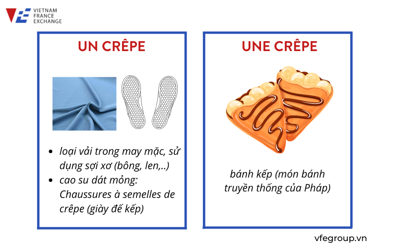 VFE-VIETNAM-FRANCE-EXCHANGE-cac-danh-tu-tieng-phap-hai-giong-1-scaled-6