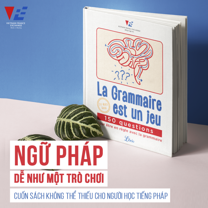 VFE Ngữ pháp như một trò chơi La grammaire est un jeu 