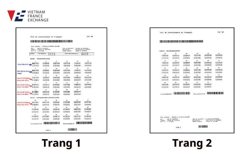 thay-doi-trong-bai-thi-tcf-20241 thay-doi-trong-bai-thi-tcf-2024-thi-sinh-can-biet