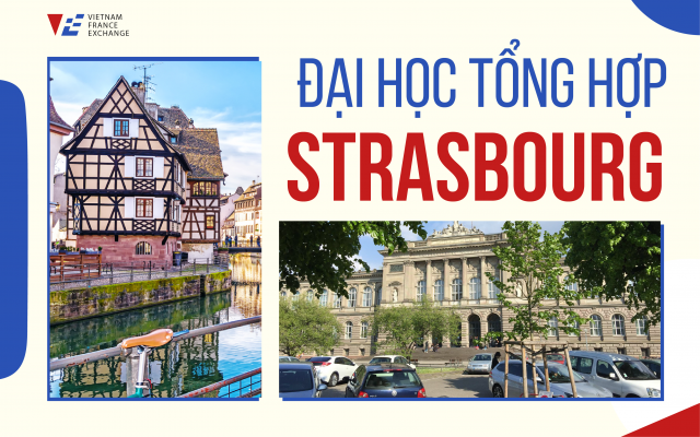 vfe-dai-hoc-strasbourg-640x400-1