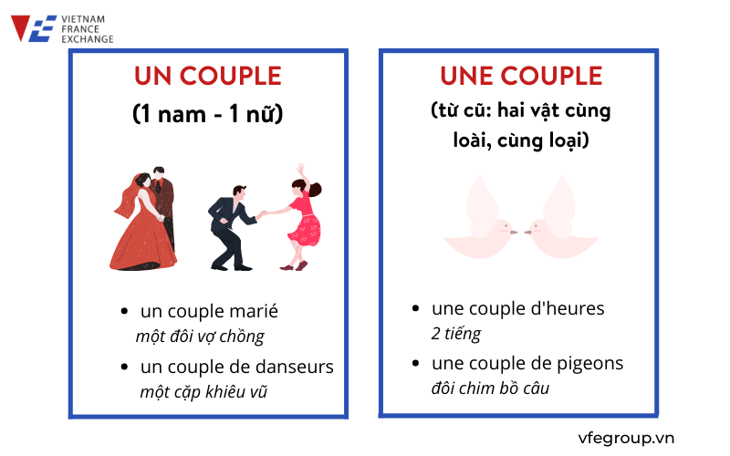 VFE-VIETNAM-FRANCE-EXCHANGE-cac-danh-tu-tieng-phap-hai-giong-1-scaled-2