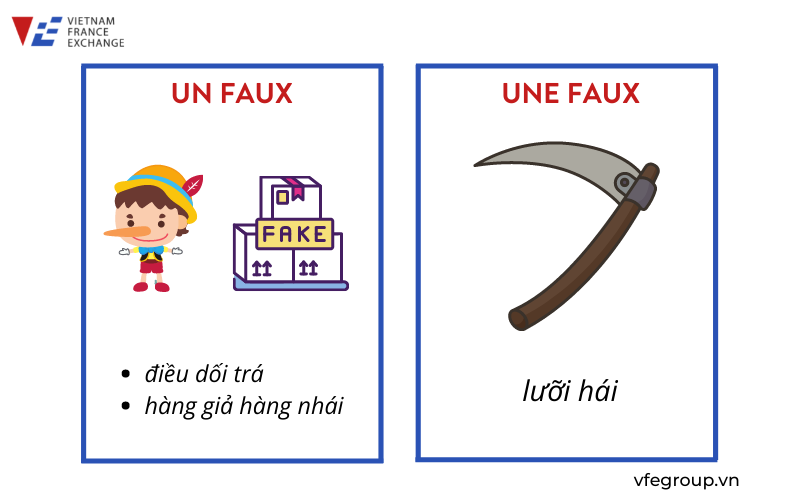 VFE-VIETNAM-FRANCE-EXCHANGE-cac-danh-tu-tieng-phap-hai-giong-1-scaled-3