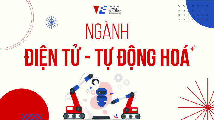 vfe-du-hoc-phap-nganh-dien-tu-tu-dong-hoa-1