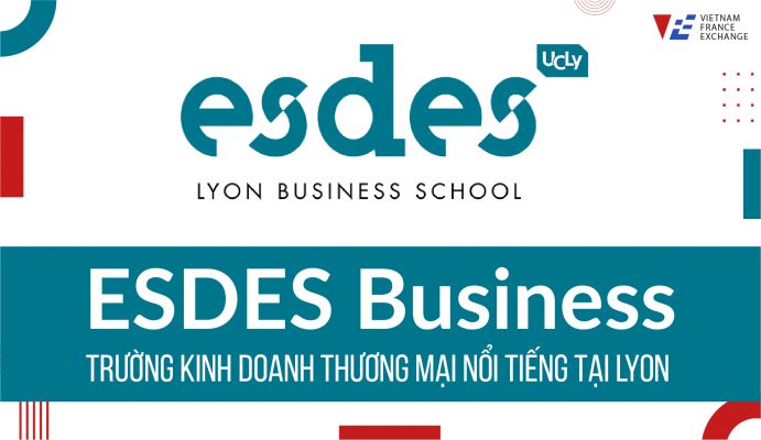 vfe-esdes-business-lyon-691x400-1 vfe-esdes-business-lyon-1