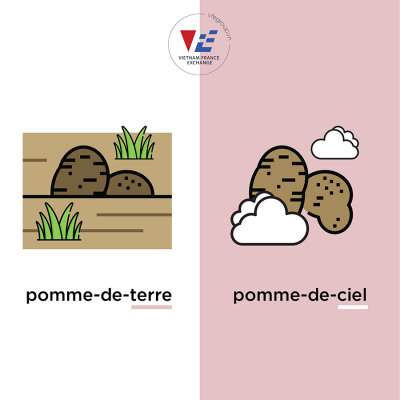 hoc-tu-vung-tieng-phap-9