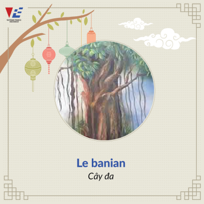 tu-vung-tieng-phap-chu-de-trung-thu-4