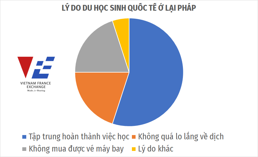VFE-ly-do-o-lai-du-hoc-phap