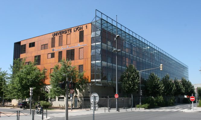 VFE-LYON-1-scaled-4