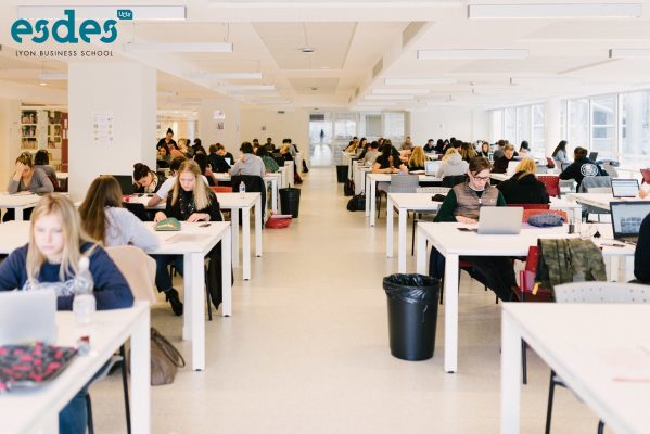 vfe-lyon-esdes-business-school-1-599x400-1 vfe-esdes-business-lyon-44