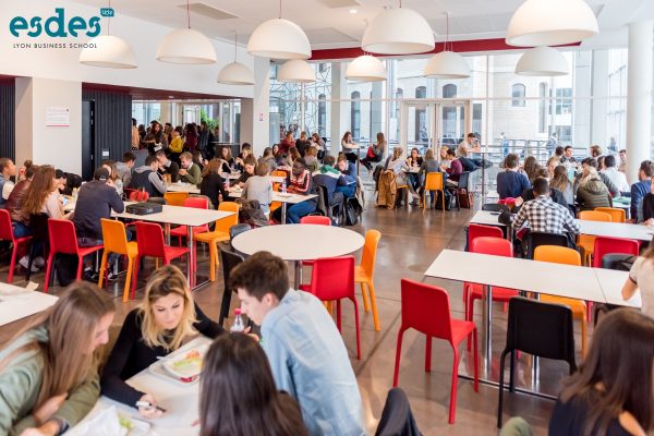 vfe-lyon-esdes-business-school-2-600x400-1 vfe-esdes-business-lyon-6