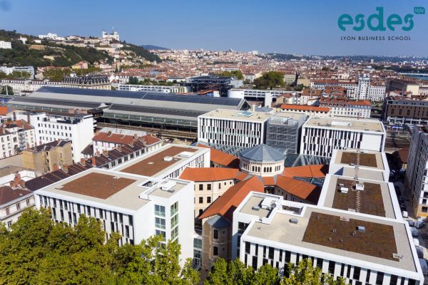 vfe-lyon-esdes-business-school-3-600x400-1 vfe-esdes-business-lyon-2