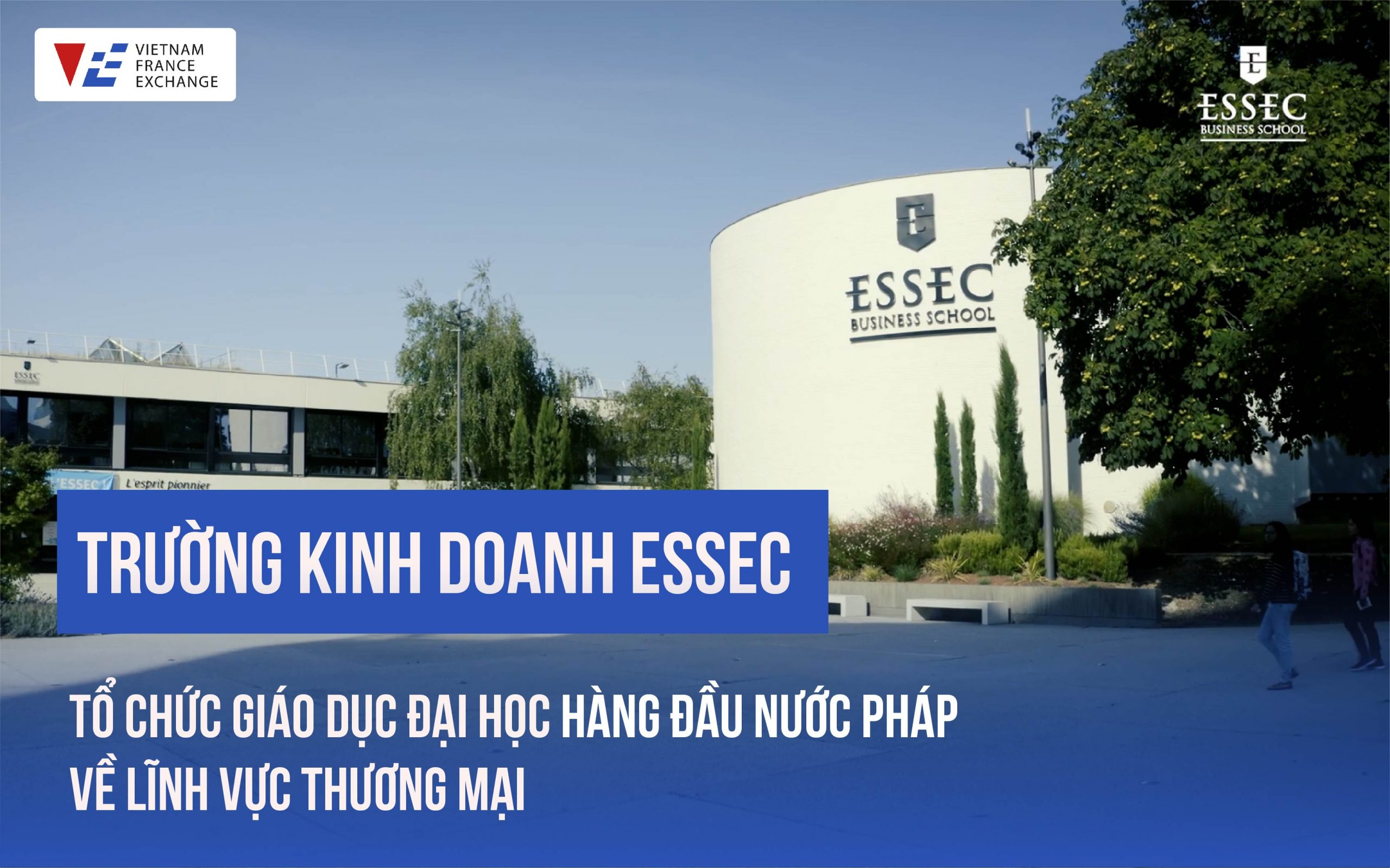 vfe-truong-kinh-doanh-essec-scaled-2