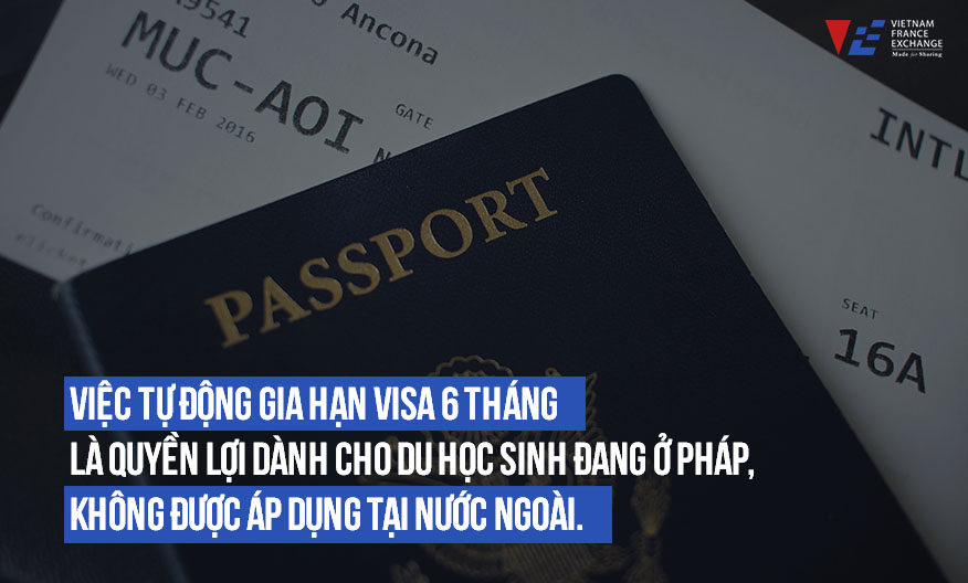 VFE-Du-hoc-phap-thong-tin-moi-1-2