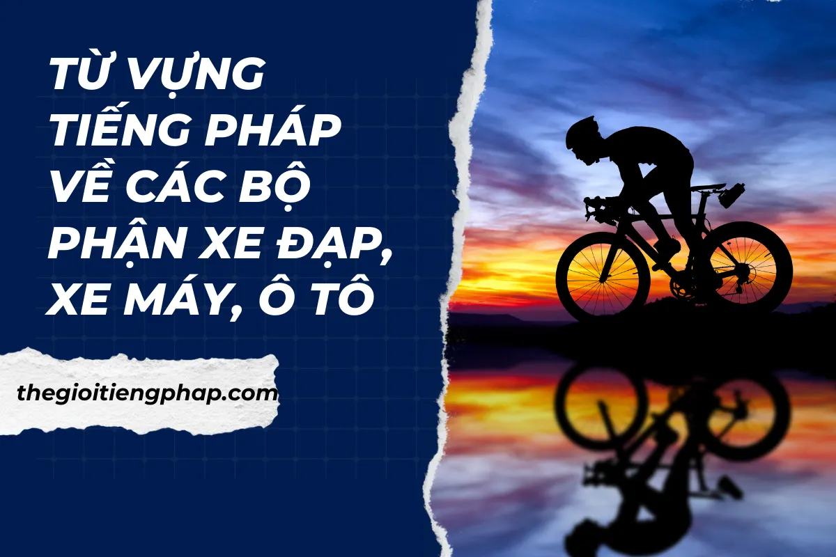 Từ vựng tiếng Pháp về các bộ phận của xe đạp, xe máy, ô tô