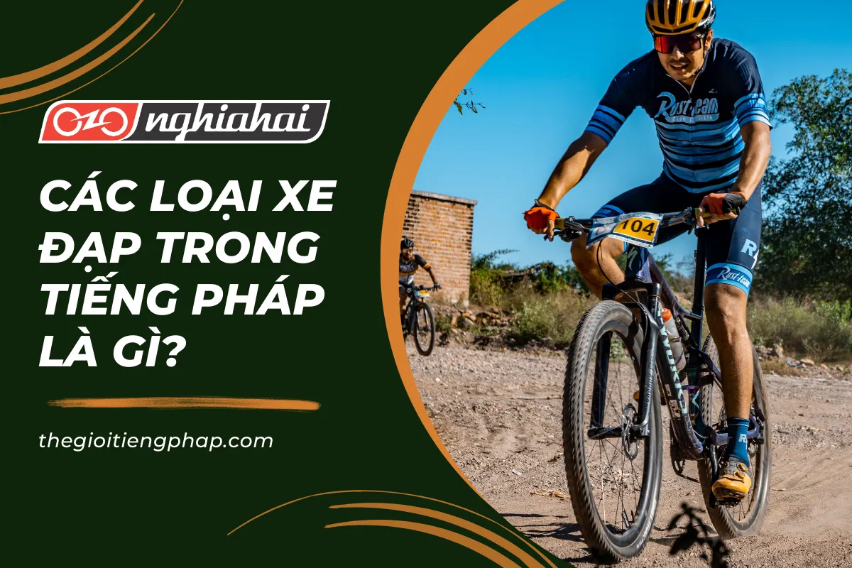 Các loại xe đạp trong tiếng Pháp là gì?