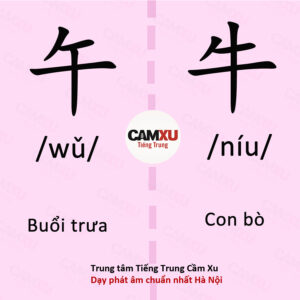 15-9-dang-cau-hoi-thuong-gap-01-686x400-jpg