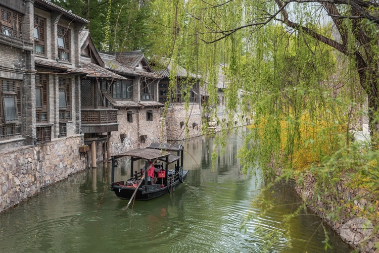 co-bac-thuy-tran-1-16567315851941306295414