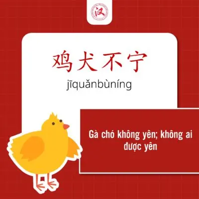 e23fea2f84d5448b1dc4-400x400-jpg