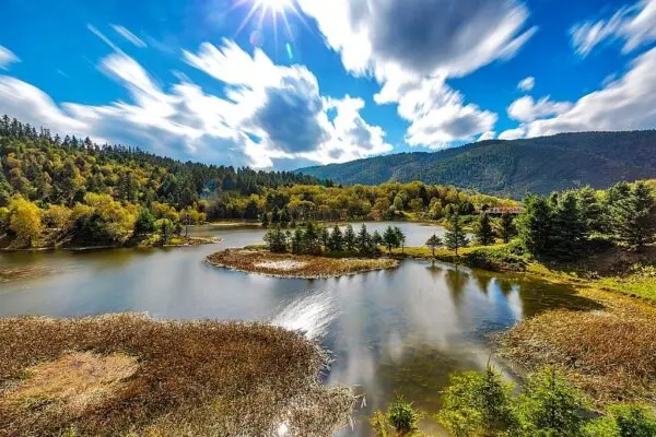 e699aee8bebee68eaae59bbde5aeb6e585ace59bad-600x400-jpg