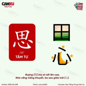 16-10-phan-biet-2-pho-tu-01-686x400-jpg