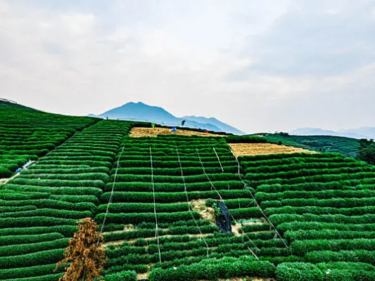 nhung-dia-diem-du-lich-noi-bat-tai-hang-chau-2777-4-jpg