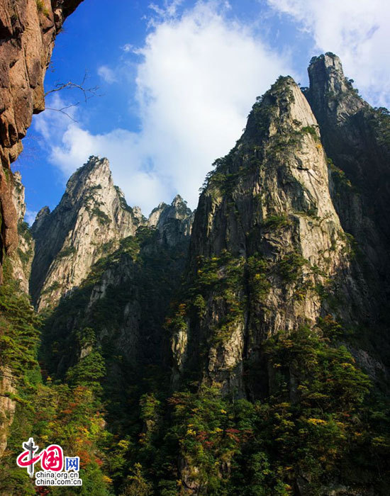 rdn_547456a31d93c 秋临黄山:感悟黄山秋韵尽享奇妙之旅【组图】_安徽频道_凤凰网