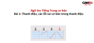 14-10-phan-biet-you-zai-01-686x400-jpg