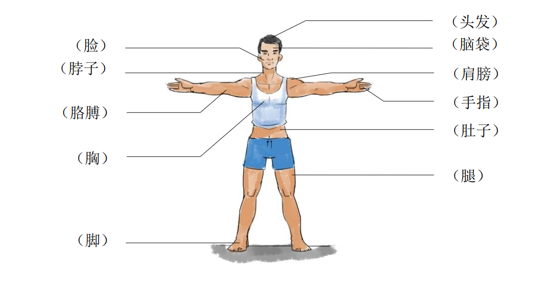 Từ vựng Tiếng Trung chủ đề cơ thể