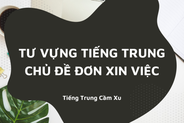 Từ vựng Tiếng Trung chủ đề đơn xin việc