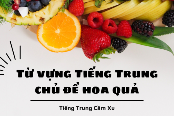 Từ vựng Tiếng Trung chủ đề hoa quả