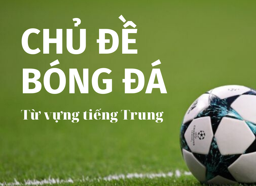 Từ vựng về các đội bóng