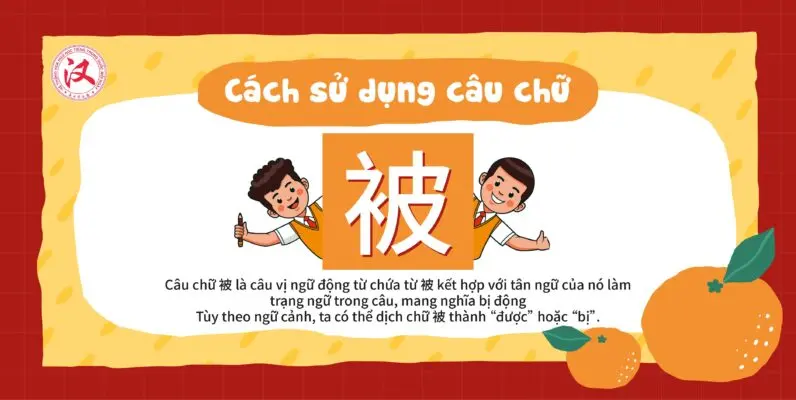 z3655919484107_50554eb39397c12b9e3e73bddbc77e6c-796x400-jpg