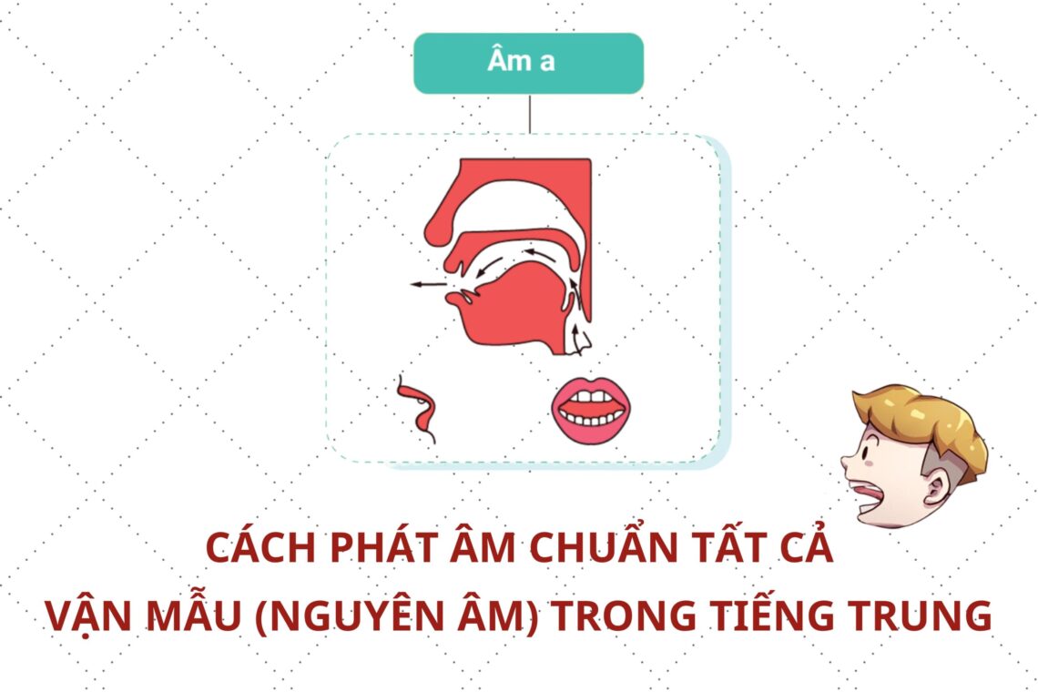 Cách phát âm chuẩn tất cả vận mẫu (nguyên âm) trong Tiếng Trung
