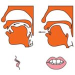 Cách phát âm chuẩn Zh, Ch, Sh, R trong Tiếng Trung