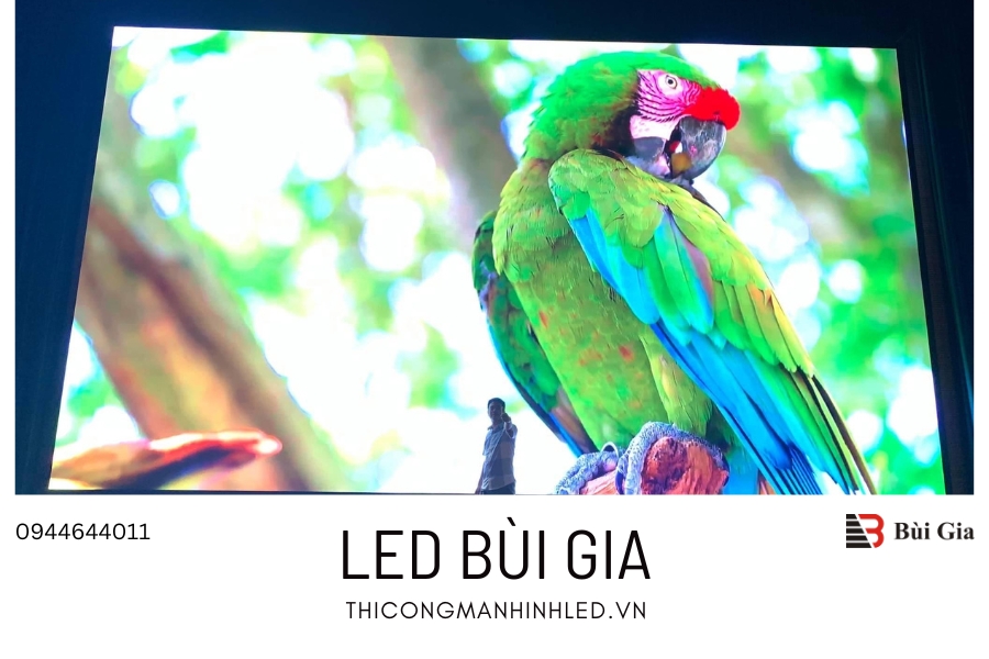 [Dự án đã triển khai] LED Bùi Gia thi công Công trình màn hình LED P3 kích thước 5m x 9m tại Thành Ủy Bắc Giang