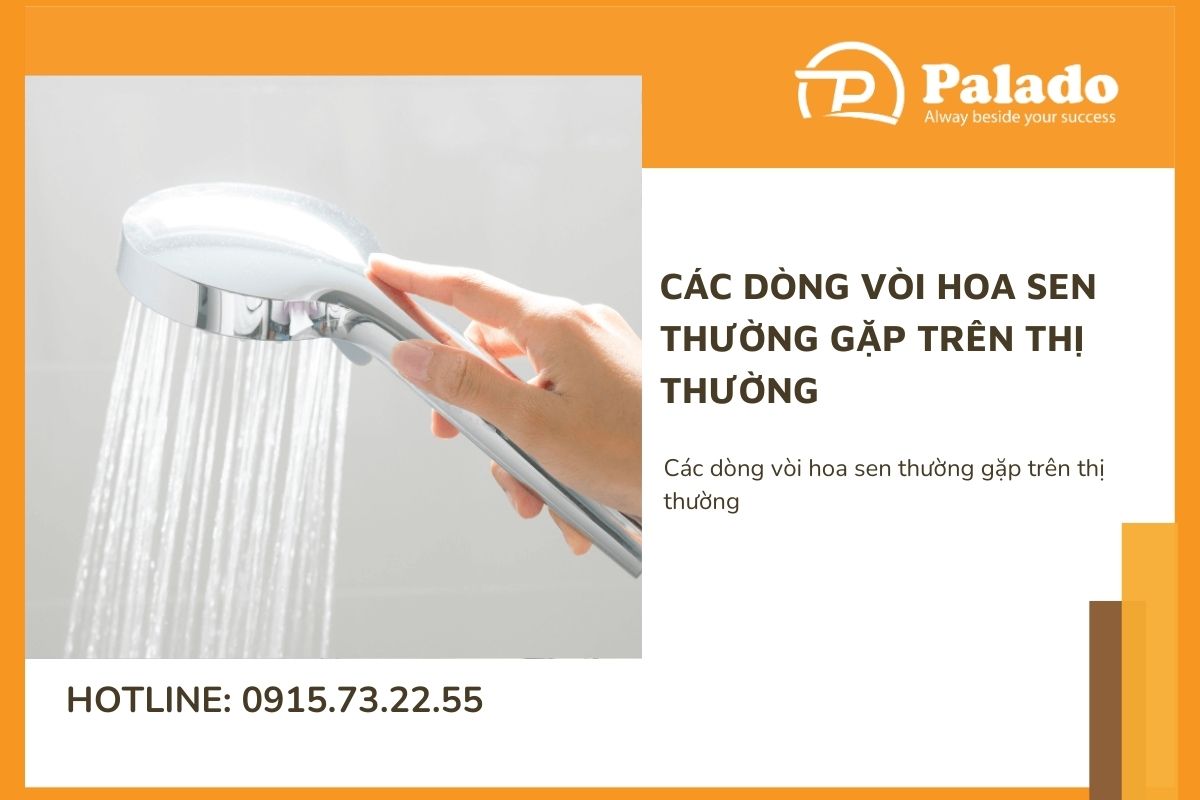 Các dòng vòi hoa sen thường gặp trên thị thường