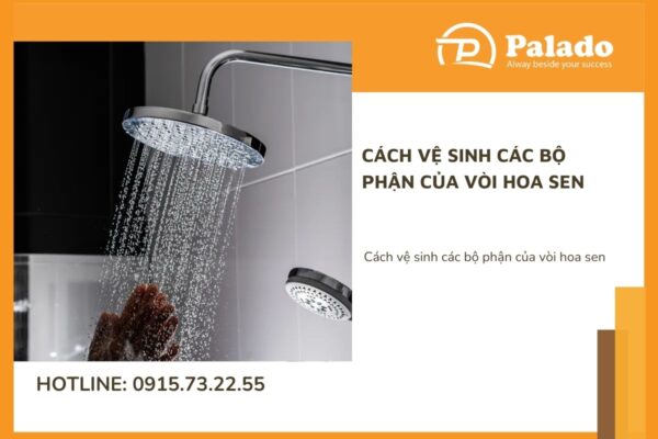 Cách vệ sinh các bộ phận của vòi hoa sen
