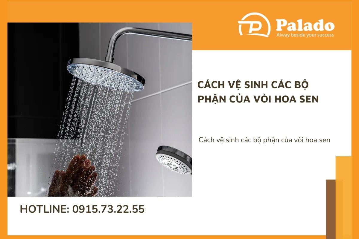 Cách vệ sinh các bộ phận của vòi hoa sen