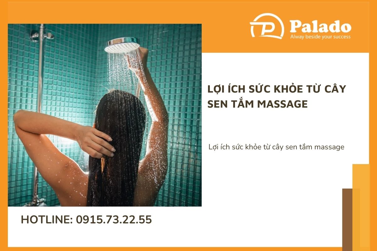 Lợi ích sức khỏe từ cây sen tắm massage