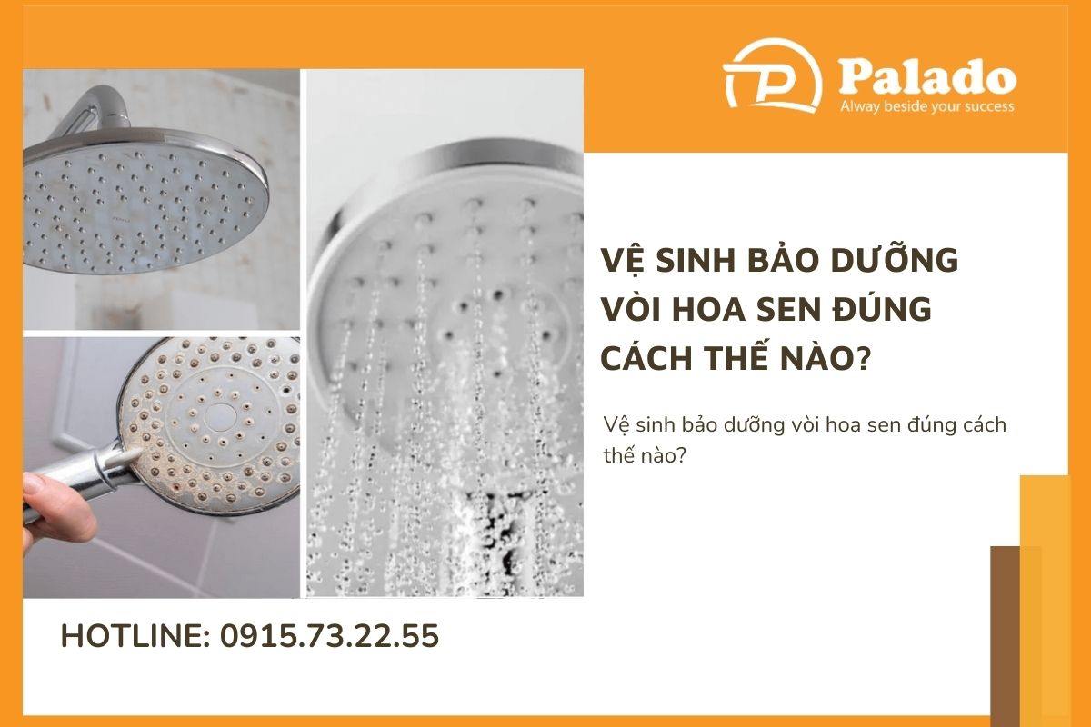 Vệ sinh bảo dưỡng vòi hoa sen đúng cách thế nào