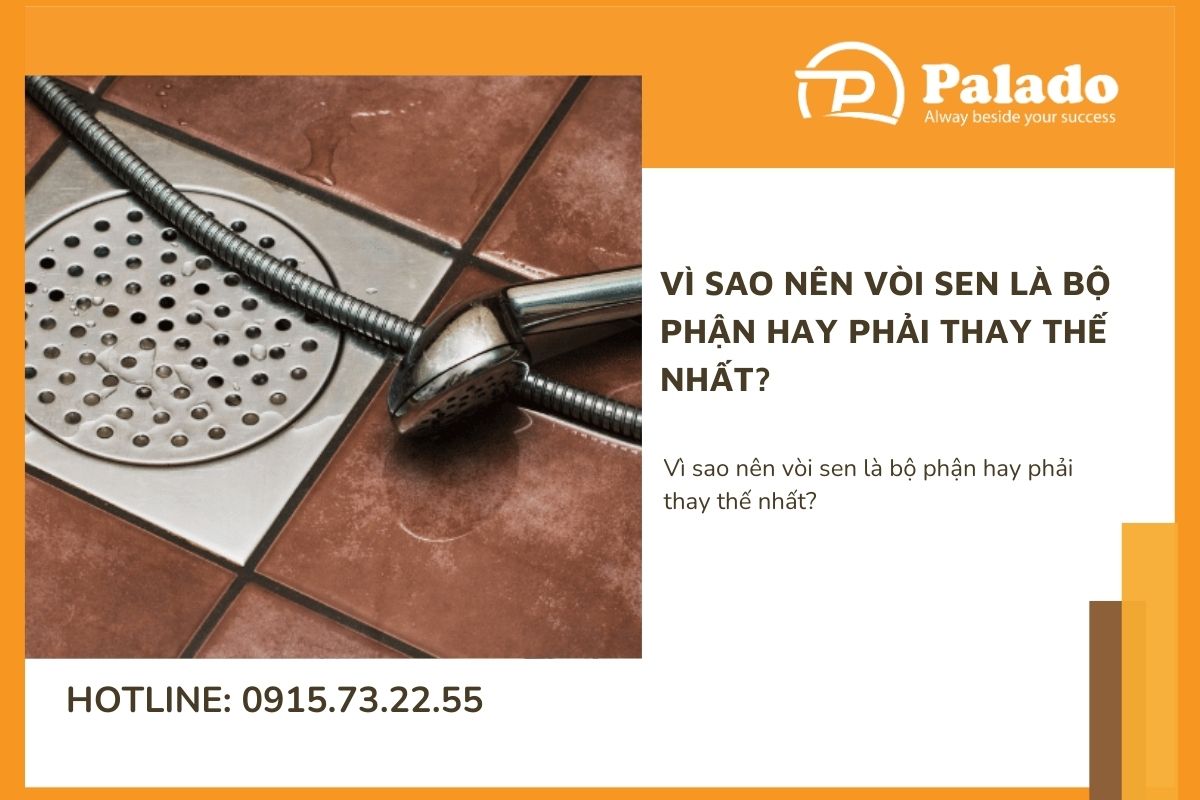 Vì sao nên vòi sen là bộ phận hay phải thay thế nhất