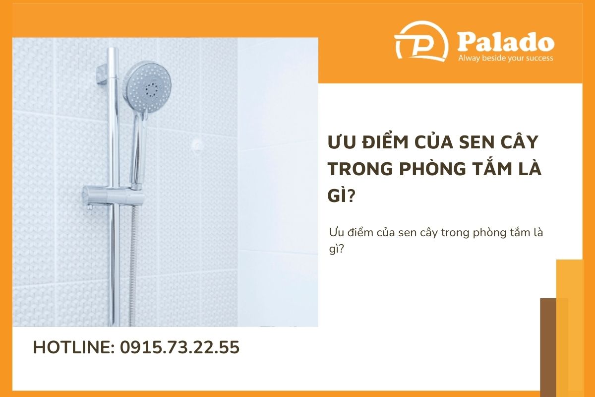 u điểm của sen cây trong phòng tắm là gì