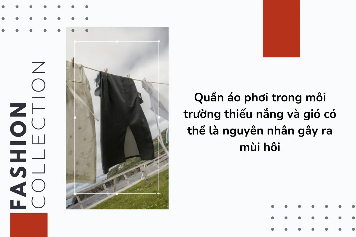Quần áo phơi trong môi trường thiếu nắng và gió có thể là nguyên nhân gây ra mùi hôi