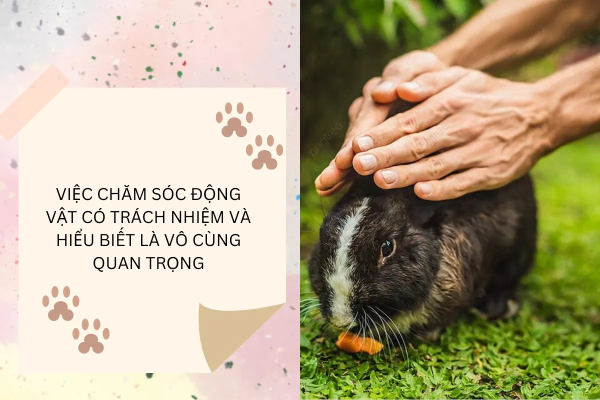 Việc chăm sóc động vật có trách nghiệm và hiểu biết là vô cùng quan trọng.