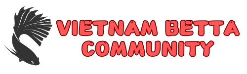 Việt Nam Betta Community