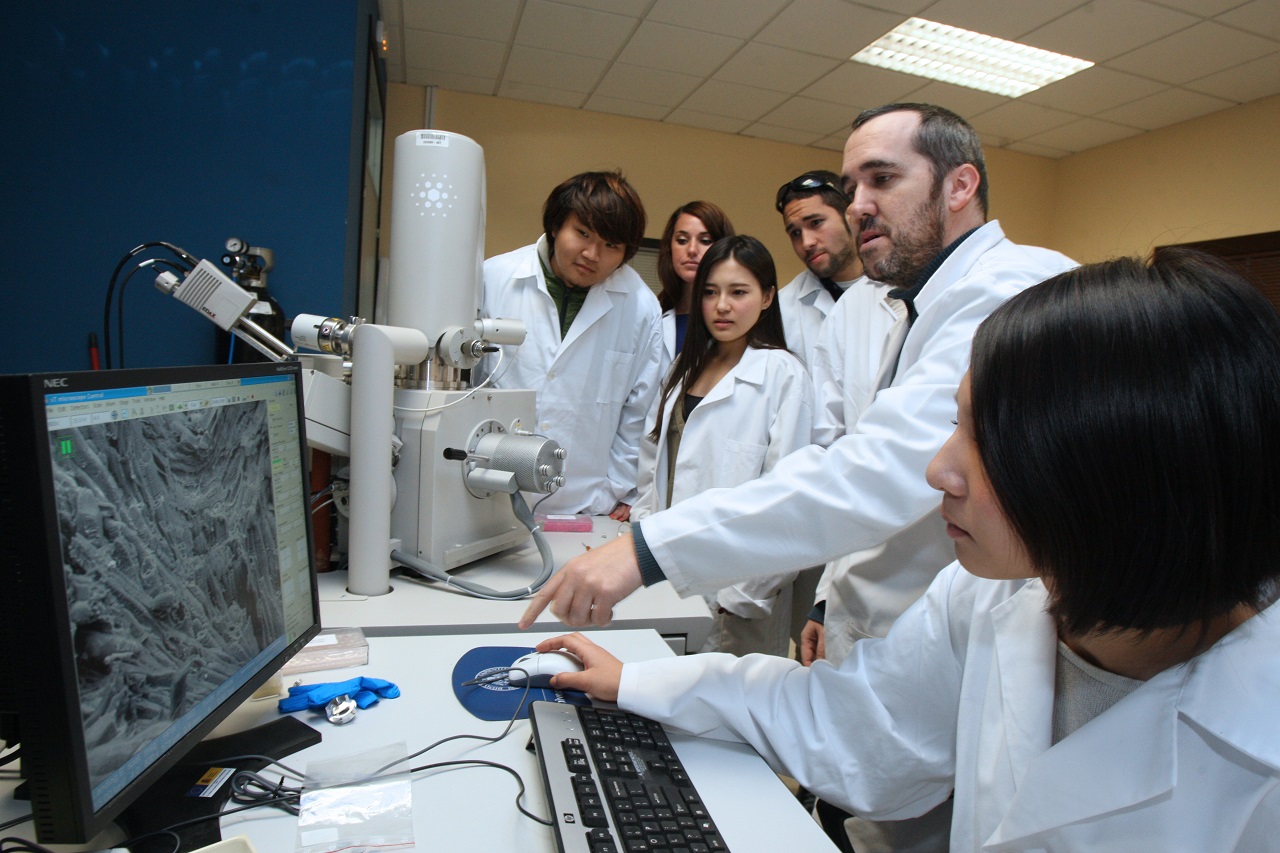 Sinh viên Đại học Valladolid trong giờ nghiên cứu