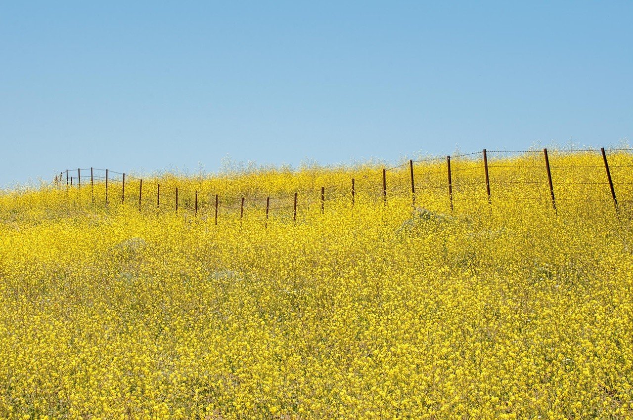 du-lich-tay-ban-nha-1