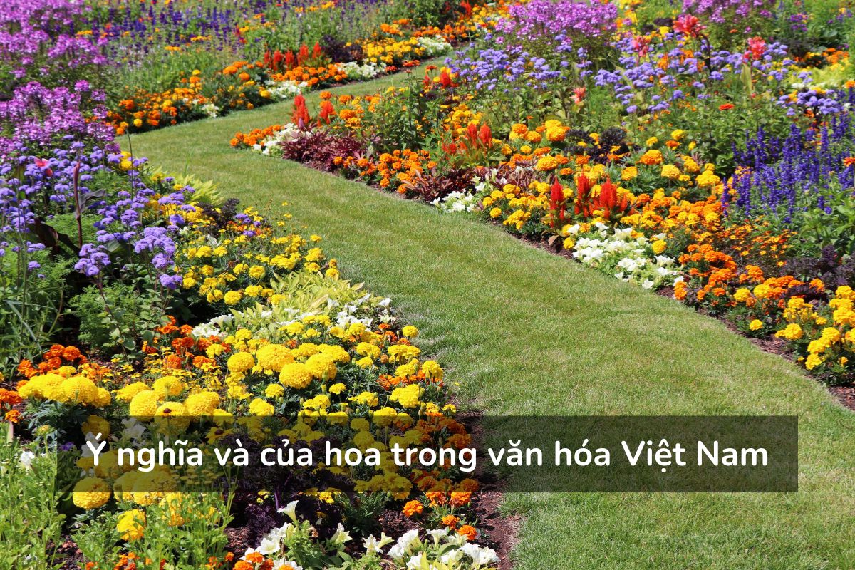 Ý nghĩa và của hoa trong văn hóa Việt Nam